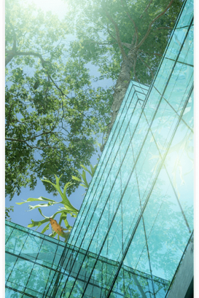 envolta-frame-2